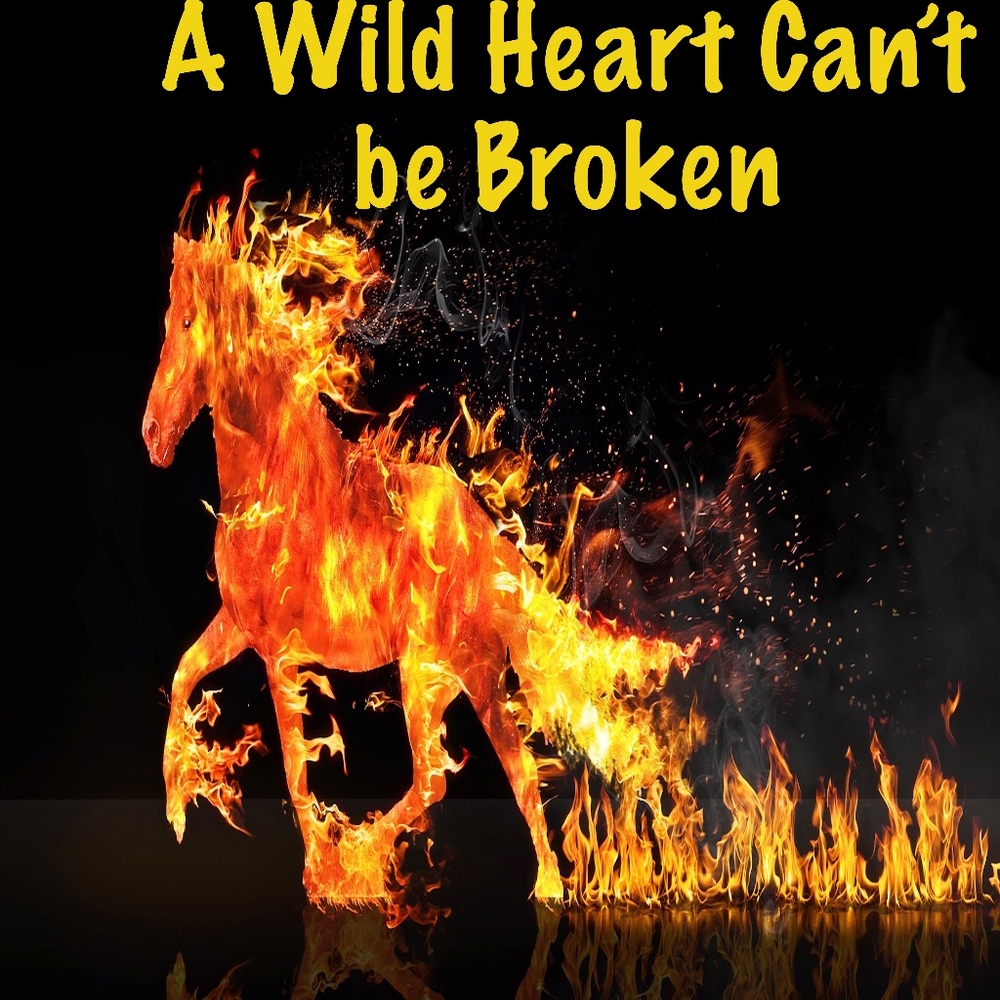 Meet your Posher, BE